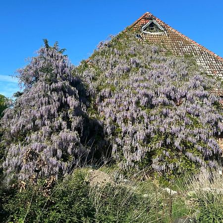 Kornmuehle Doppelzimmer Muehlenstein Mellenthin Luaran gambar